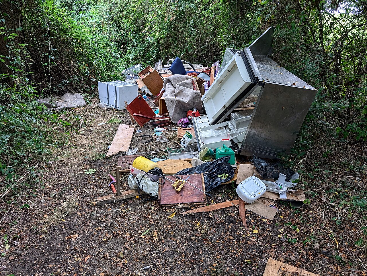 Fly-tipped fridges, furniture and household waste dumped in a wood in Essex